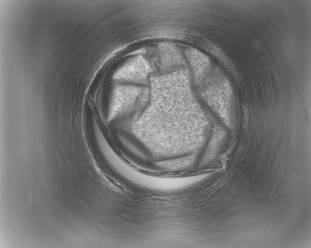 X0000051860580200507221859