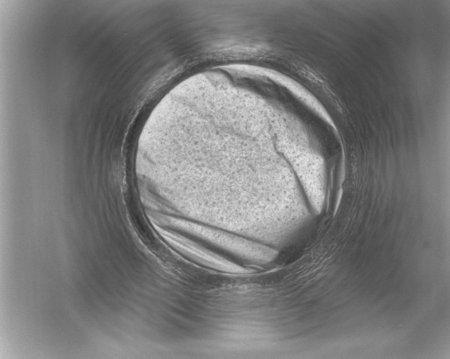 X0000051860582200507221859