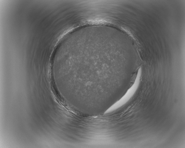 X0000051860583200507221859