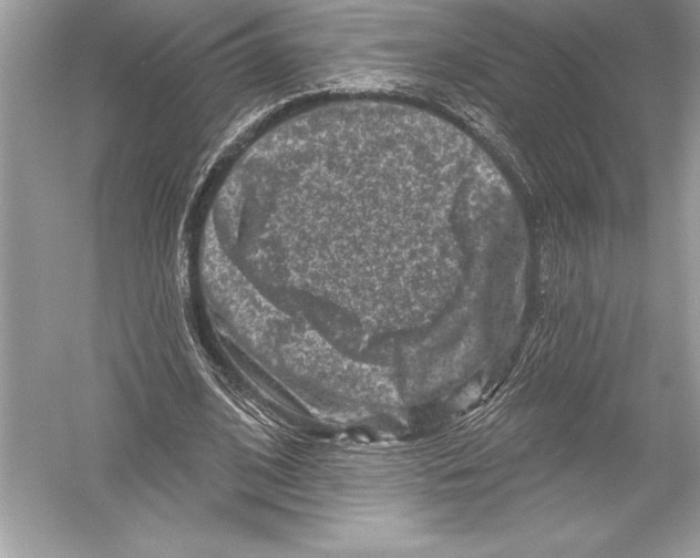 X0000051860584200507221859