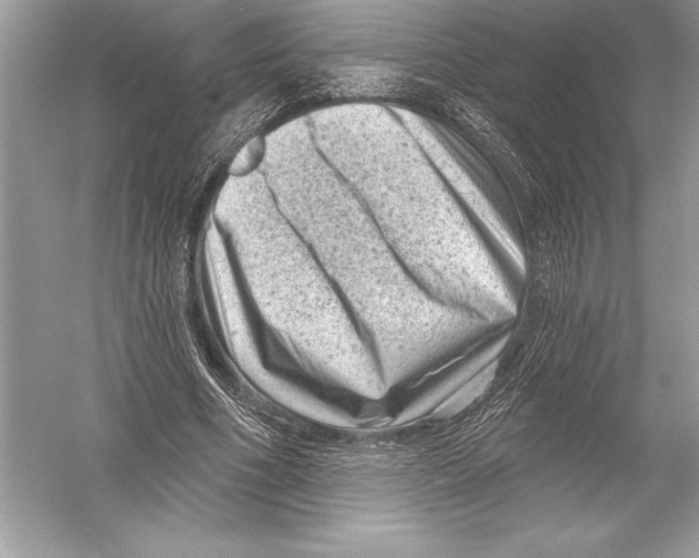 X0000051860586200507221859