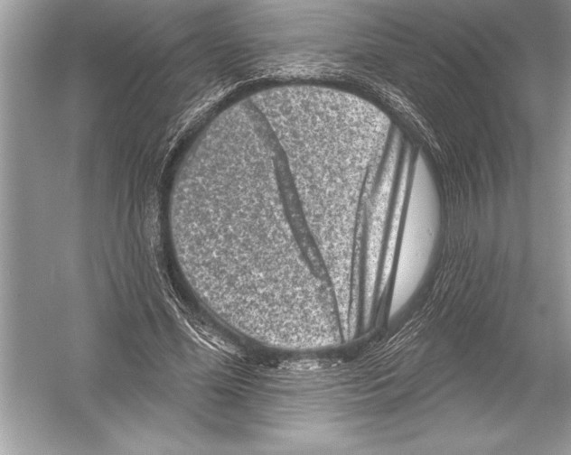 X0000051860588200507221859