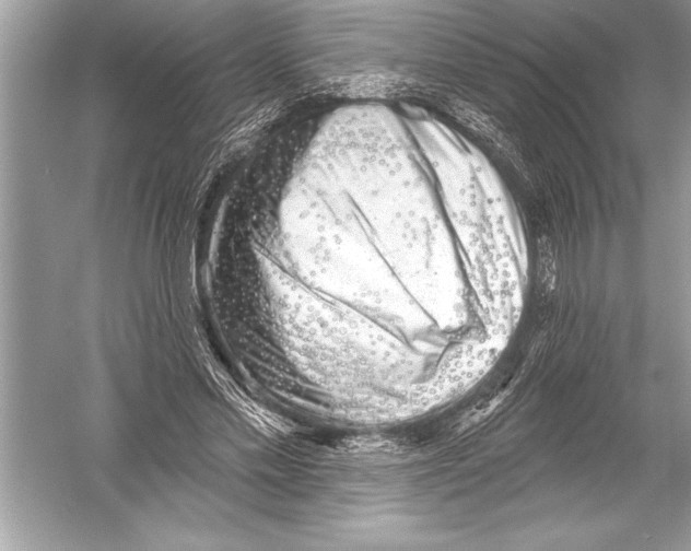 X0000051860589200507221859