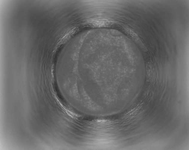 X0000051860590200507221859