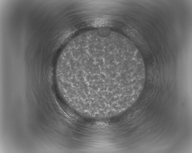 X0000051860592200507221859