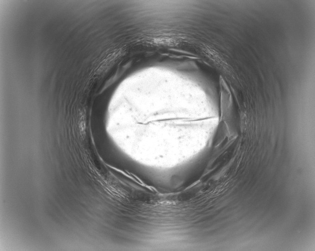 X0000051860593200507221859