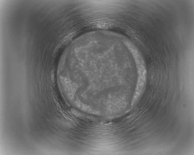 X0000051860595200507221859