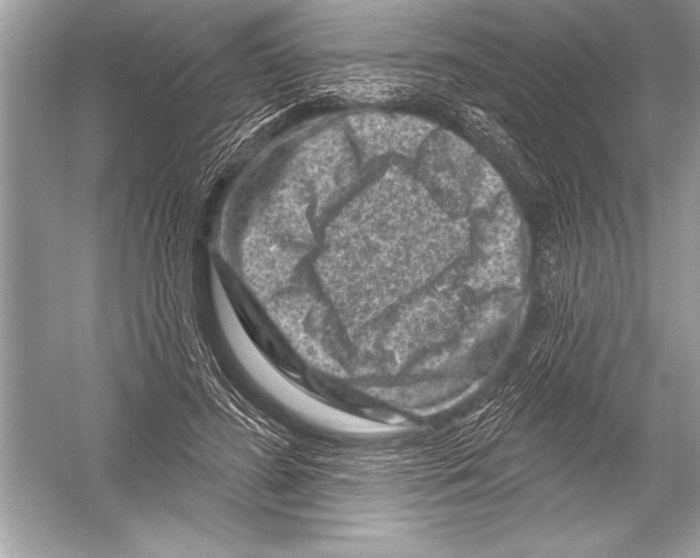 X0000051860596200507221859