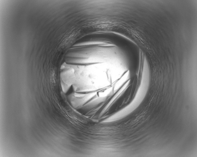 X0000051860597200507221859