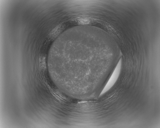 X0000051860598200507221859