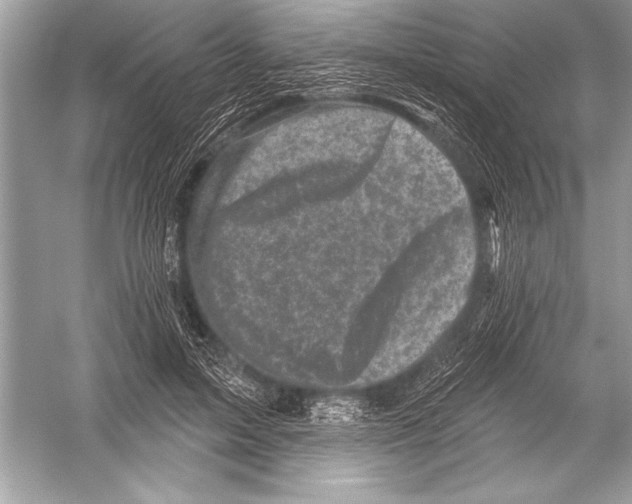 X0000051860599200507221859