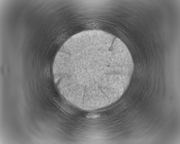 X0000051860602200507221859