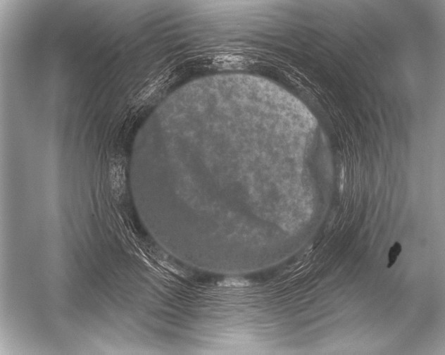 X0000051860603200507221859