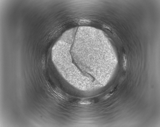 X0000051860604200507221859