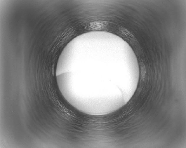 X0000051860606200507221859