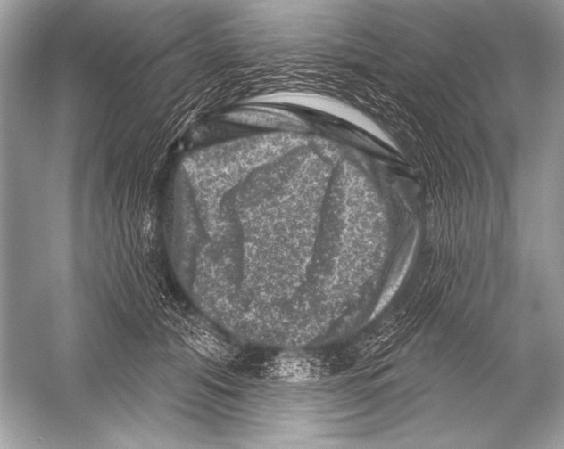 X0000051860608200507221859