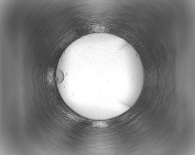 X0000051860610200507221859