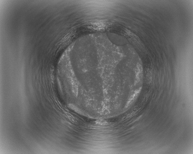 X0000051860612200507221859