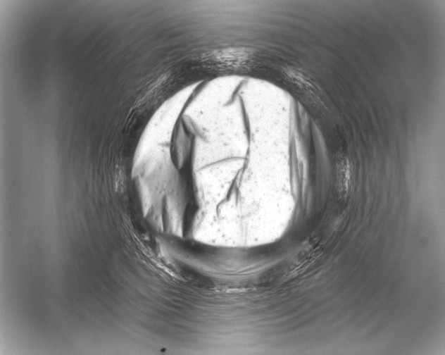 X0000051860613200507221859