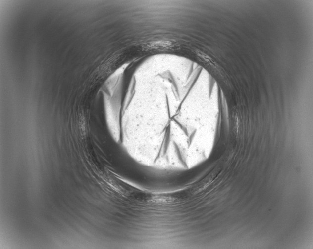 X0000051860617200507221858