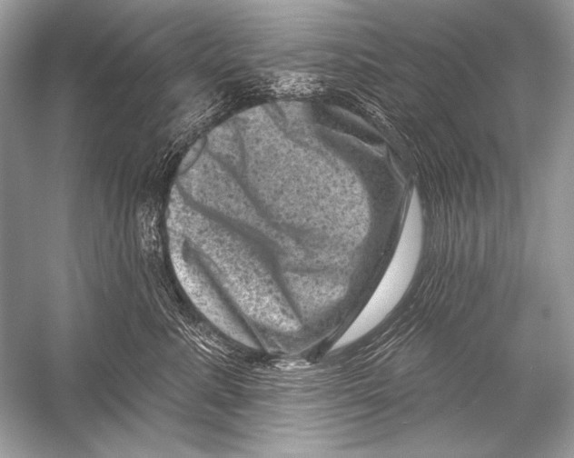 X0000051860619200507221858