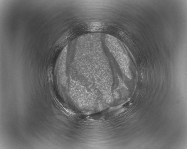 X0000051860620200507221858