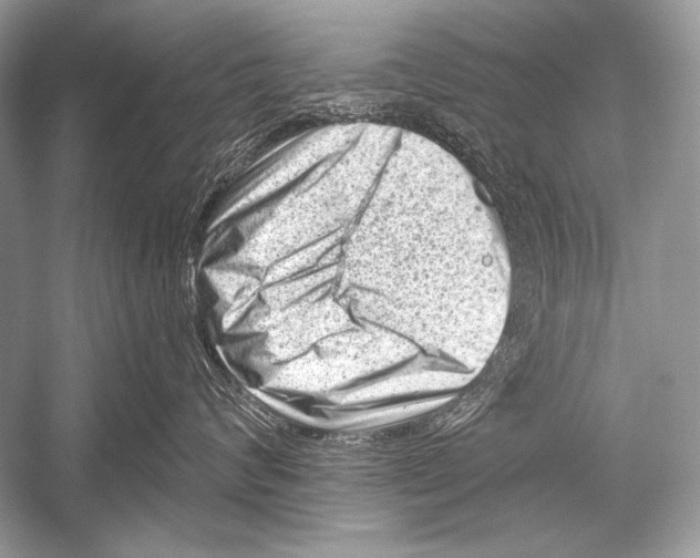 X0000051860624200507221858