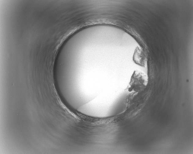 X0000051860625200507221858