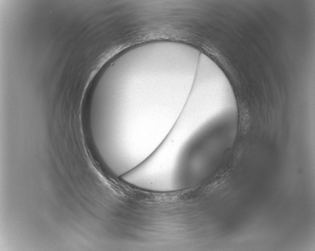 X0000051860626200507221858