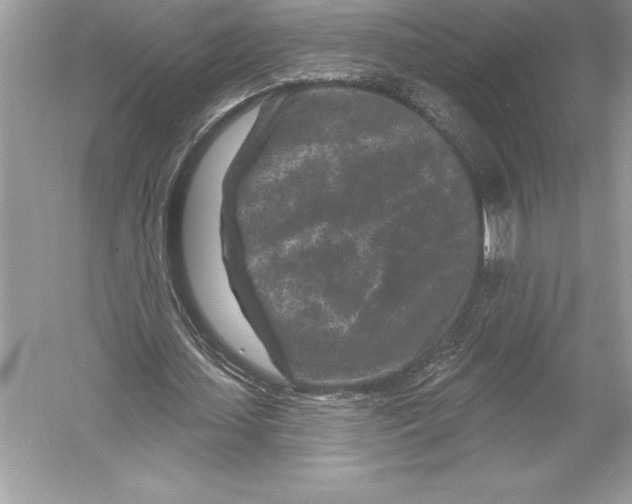 X0000051860627200507221858