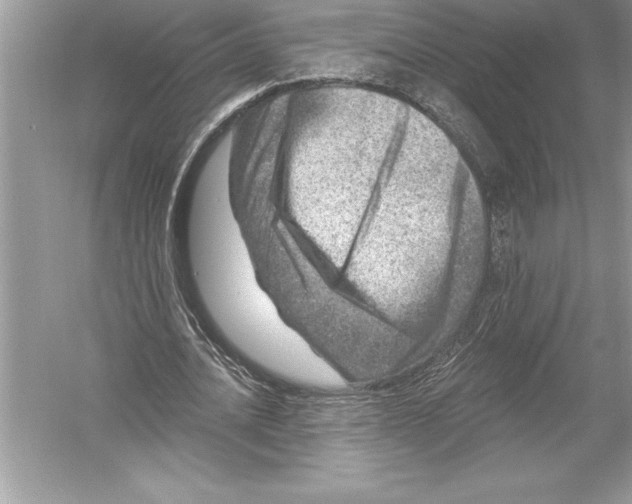 X0000051860628200507221858