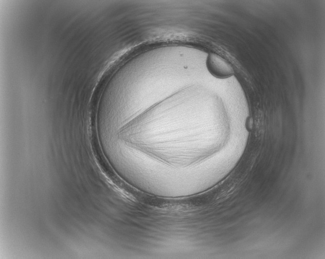 X0000051860629200507221858