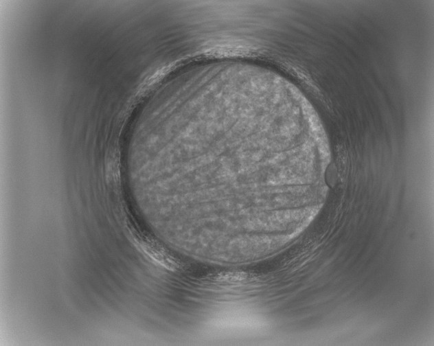 X0000051860631200507221858