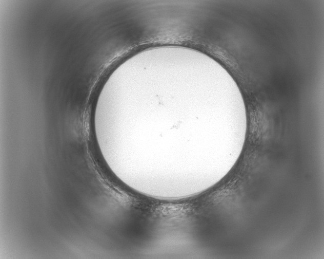 X0000051860632200507221858