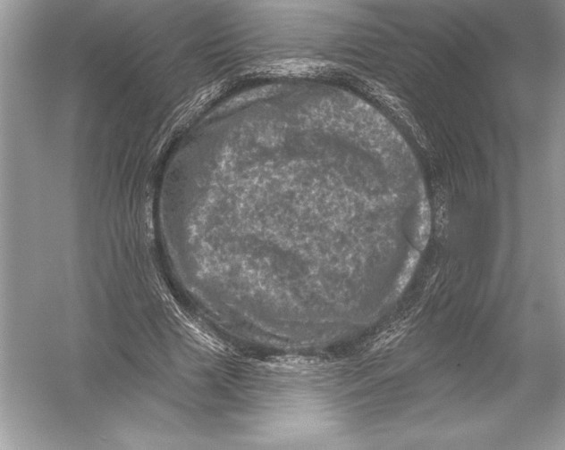 X0000051860633200507221858