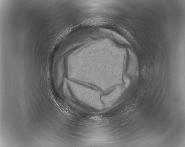 X0000051860635200507221858