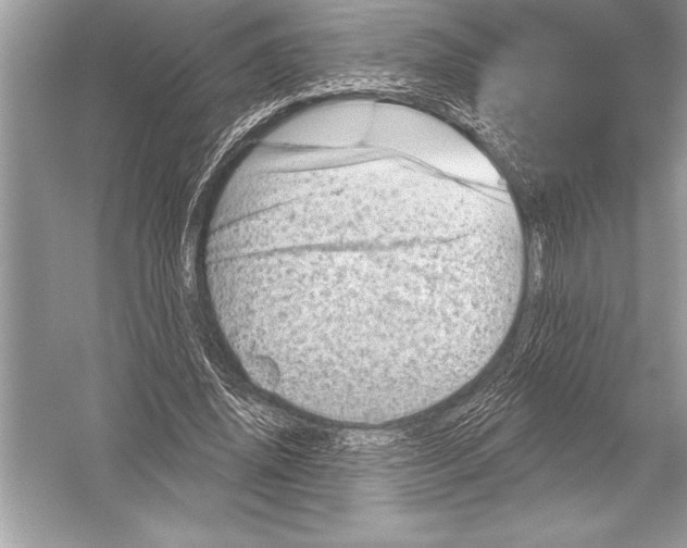 X0000051860636200507221858