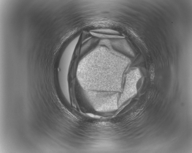 X0000051860637200507221858