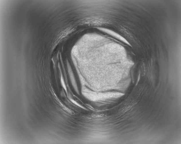 X0000051860638200507221858