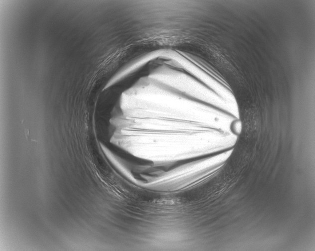 X0000051860639200507221858