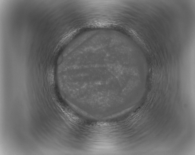 X0000051860640200507221858