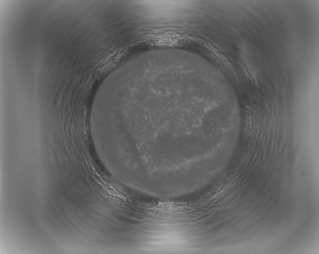 X0000051860641200507221858