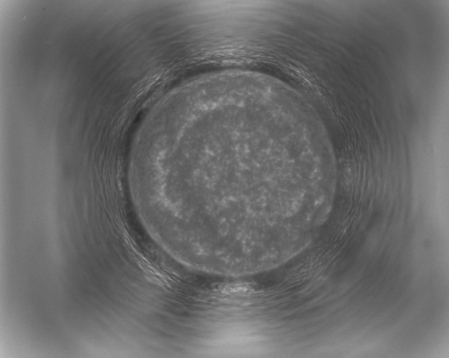 X0000051860643200507221858