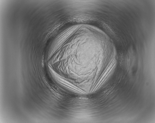 X0000051860644200507221858