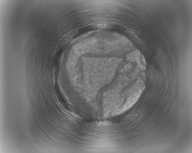 X0000051860645200507221858