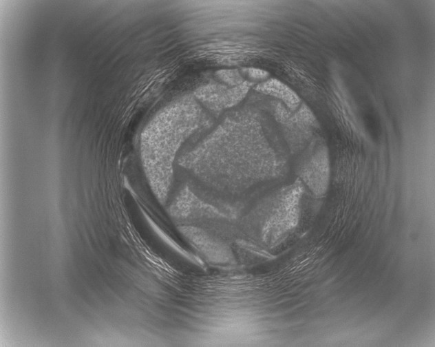 X0000051860646200507221858