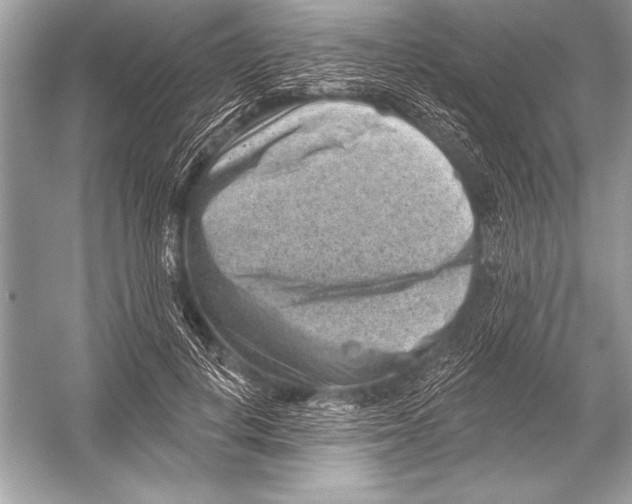 X0000051860648200507221858