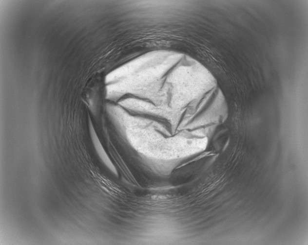 X0000051860649200507221858