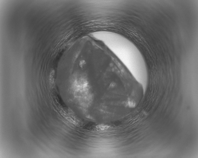 X0000051860650200507221858