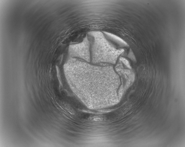 X0000051860655200507221858